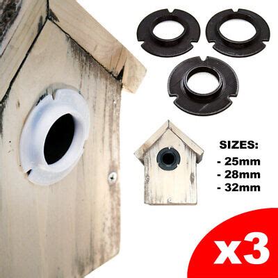 bird box plate hole